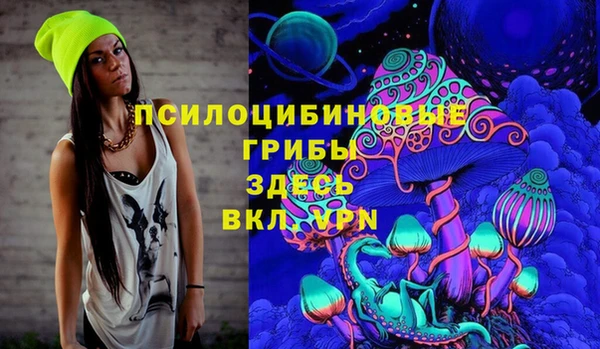 PSILOCYBIN Верхний Тагил